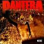 Pantera -《The_Great_Southern_Trendkill》[MP3!]