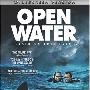 《颤栗汪洋》(Open Water)[DVDRip]