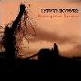 Lynyrd Skynyrd -《Endangered Species》[MP3!]