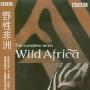 《野性非洲(EP1-6)》(Wild Africa(EP1-6))双语版(Dual-Audio)[DVDRip]