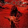 博德之子 -《Children of Bodom 全集》
