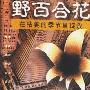 群星(佛山本土民谣歌手) -《野百合花－在枯萎的季节里绽放》[MP3!]