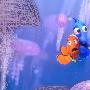 《PIXAR RENDERMAN ARTIST TOOLS V6.0》
