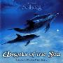 Dan Gibson -《海洋天使》(Angels of the Sea)[MP3!]