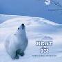 《发烧专门店2002》(THE BEST OF JINGO RECORDS 2002)[APE]