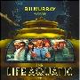 《水中生活》(The Life Aquatic with Steve Zissou)[DVDScr]