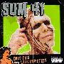 Sum 41 -《Does This Look Infected?》[MP3!]