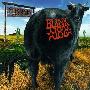 Blink 182 -《Dude Ranch》[MP3!]