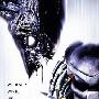 原声大碟 -《异形大战铁血战士》(Alien Vs. Predator)[MP3!]