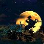 《蒙面侠佐罗》(The Shadow of Zorro)[Bin]