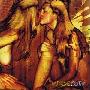 Various Artists -《同志亦音乐》(Gay Music Collection)(20卷，超过400首)[MP3!]