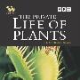 《植物私生活》(The Private Life of Plants)BBC[DVDRip]