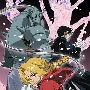 《钢之炼金术士 MTV+ OP ED》(Fullmetal Alchemist  MTV)[RMVB]