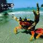The Prodigy -《The Fat of the Land》[MP3!]