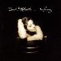 Sarah McLachlan (莎拉·麦克拉克兰) -《Surfacing》[MP3!]