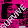 《杀妻总动员》(SURVIVE STYLE 5+)[DVDRip]