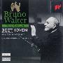 瓦尔特 Walte -《贝多芬- 第六交响曲'田园'》(Beethoven- Symphony 6 'Pastoral')最佳版本之一[MP3!]