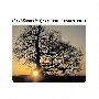 The Mountain Goats -《The Sunset Tree》[ADVANCE][MP3!]