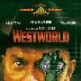 《未来世界》(Westworld)[DVDRip]
