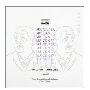 布鲁克纳 Bruckner -《交响曲全集》(The Complete Symphonies 00-9)Tintner, Naxos (11CDs)[APE]