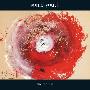 音速青年(Sonic Youth) -《The Eternal》[MP3]