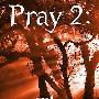《祈祷2：树林》(Pray 2: The Woods)[DVDRip]