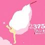 棉花糖 -《2375》320K[EP][MP3]
