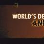 《国家地理: 世界致命动物》(National Geographic Worlds Deadliest Animals)TLF-MiniSD/8集全[HDTVRip]
