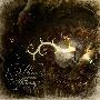 Wine From Tears -《Through The Eyes Of A Mad》[MP3]