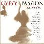 Various Artists -《吉普赛热情：新弗拉门戈》(Gypsy Passion: New Flamenco)分轨[FLAC]