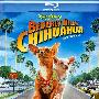 《比佛利拜金狗》(Beverly Hills Chihuahua)国英双语版[BDRip]