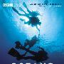 《BBC 海洋》(BBC Oceans)8集全[DVDRip]