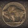 Nickel Eye -《The Time of the Assassions》[MP3]