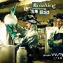 《绝命毒师 第一季》(Breaking.Bad.Season 1)[YYeTs人人影视双语字幕]更新07[本季完结][RMVB+MKV]