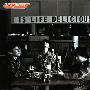 the pillows -《Thank you, my twilight》专辑[MP3]