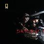《国家地理.武士刀传奇》(National Geographic Samurai Sword )TLF-MiniSD[HDTV]