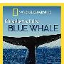 《国家地理-蓝鲸王国》(National Geographic-Kingdom of the Blue Whale)[AVI]