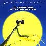 《微观世界》(Microcosmos)TLF-INT[BDRip]