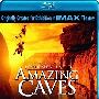 《IMAX 别有洞天》(IMAX: Journey Into Amazing Caves)思路[720P]