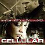 《一线声机》(Cellular)[BDRip]