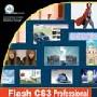 《《Flash CS3 Professional动画制作技能进化手册》--样章、样例、教学视频》(Flash CS3 Professional)[压缩包]