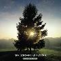 The Dangerous Summer -《Reach For The Sun》[MP3]