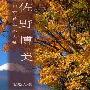 佐野博美 -《日本昔士风发烧天碟》(HIROMI SANO)[APE]