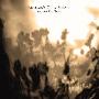 Autumn's Grey Solace -《Shades Of Grey》[FLAC]