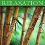 Dan Gibson -《松弛》(Relaxation)[MP3]