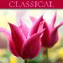 Dan Gibson -《古典》(Classical)[MP3]