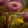 《达尔文的奋斗 - 物种进化》(Darwin's Struggle - The Evolution of the Origin of Species )[TVRip]