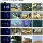 《探索频道-十大究极军事武器》(Discovery Channel-Ultimate 10 Military Machines)[PDTV][TVRip]