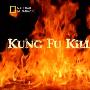 《国家地理-十大顶尖兵器(中国)》(Top Ten Kungfu Weapons )[PDTVRip]