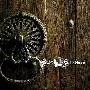 Swallow The Sun -《Hope》[MP3]